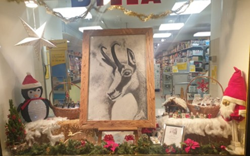 Jessica Meyer Projekt Schaufenter Jessica Meyer Projekt Schaufenster