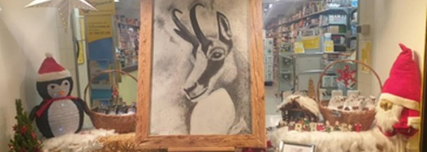 Jessica Meyer Projekt Schaufenster
